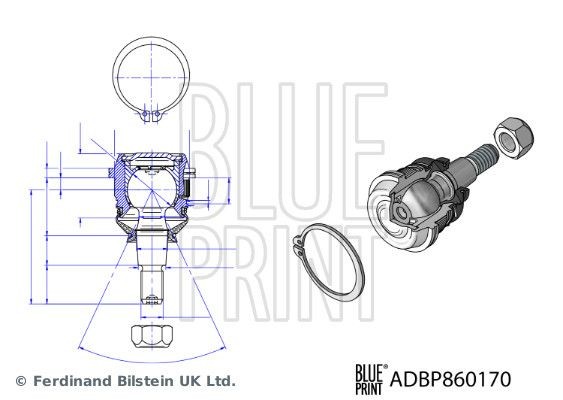BLUE PRINT Šarnyras prekės numeris: ADBP860170 nebrangu