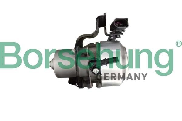 Borsehung Piduri vaakumpump Artikli number: B12301 soodsalt