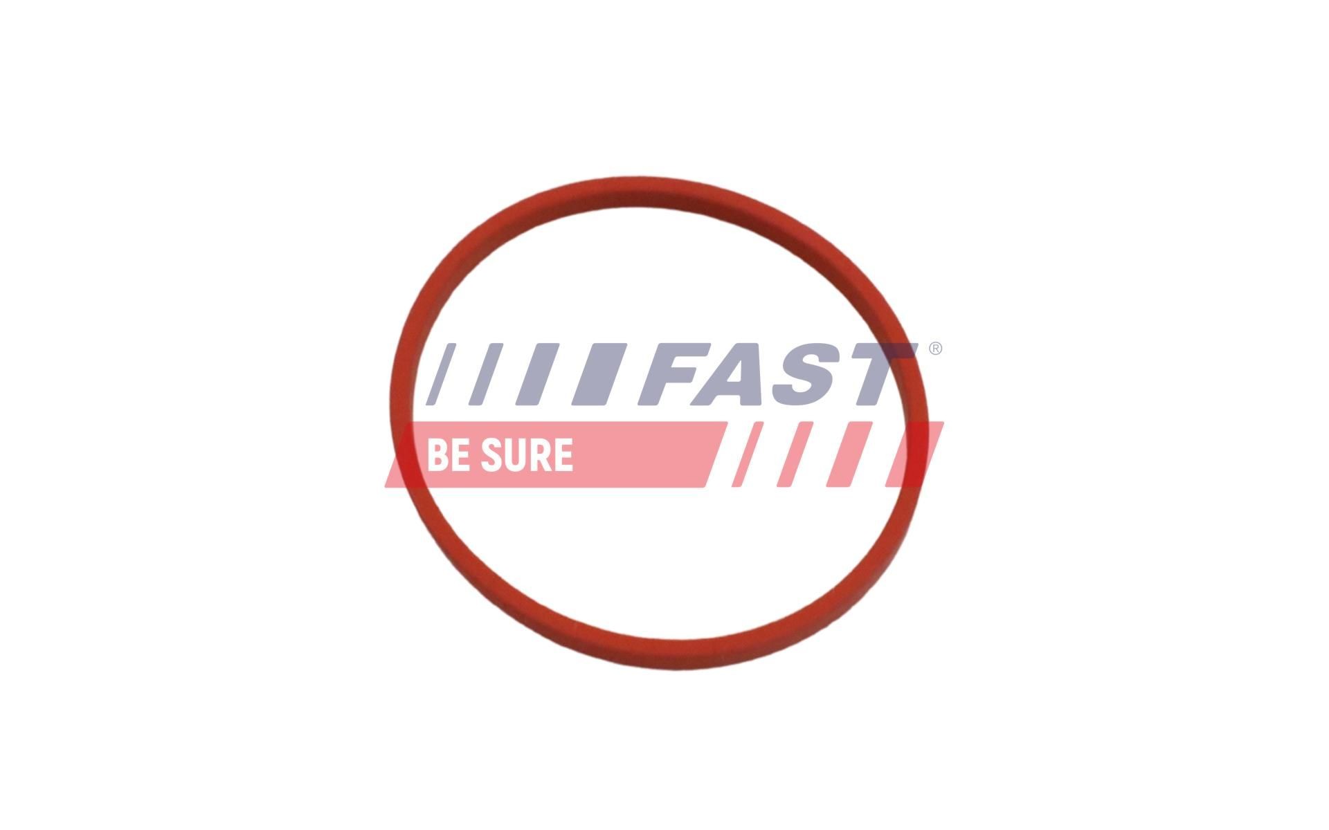 FAST Crankshaft seal Article number: FT49861 cheaply