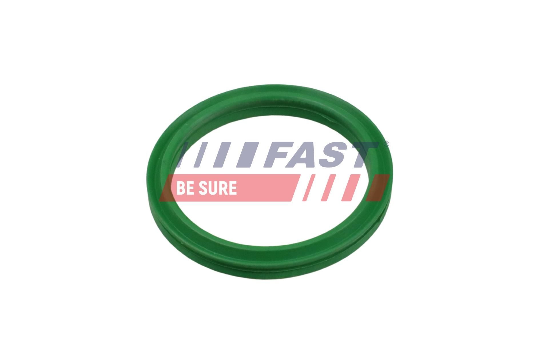 FAST Seal, coolant tube Article number: FT49927 cheaply