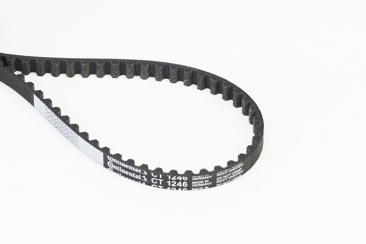 CONTITECH Timing Belt Article number: CT1246 cheaply