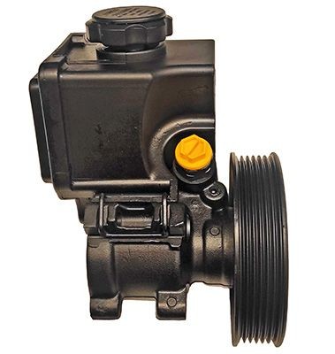 LIZARTE Power steering pump Article number: 04.05.0903-1 cheaply