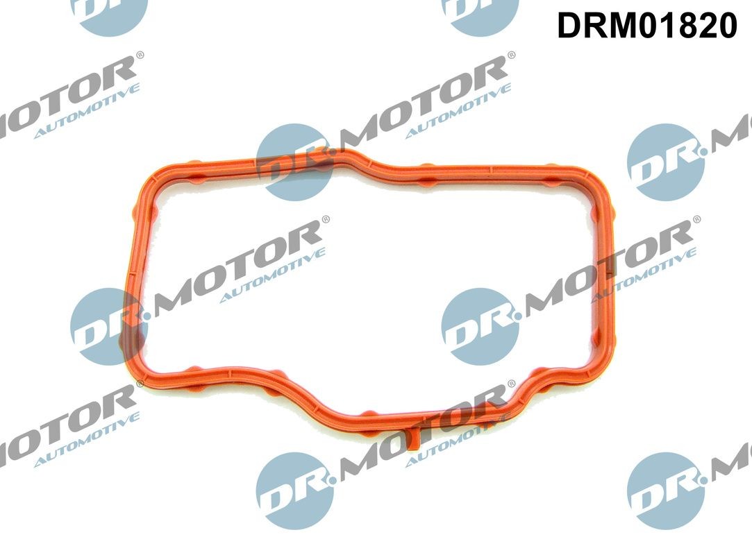 DR.MOTOR AUTOMOTIVE Thermostat housing gasket Article number: DRM01820 cheaply