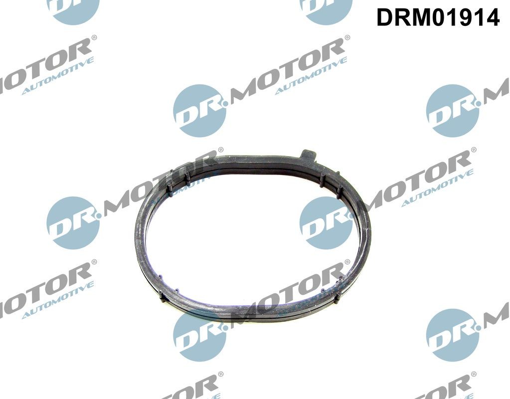 DR.MOTOR AUTOMOTIVE Inlet manifold gasket Article number: DRM01914 cheaply