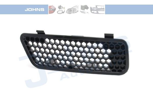 JOHNS Radiator Grille Article number: 60 31 16 cheaply