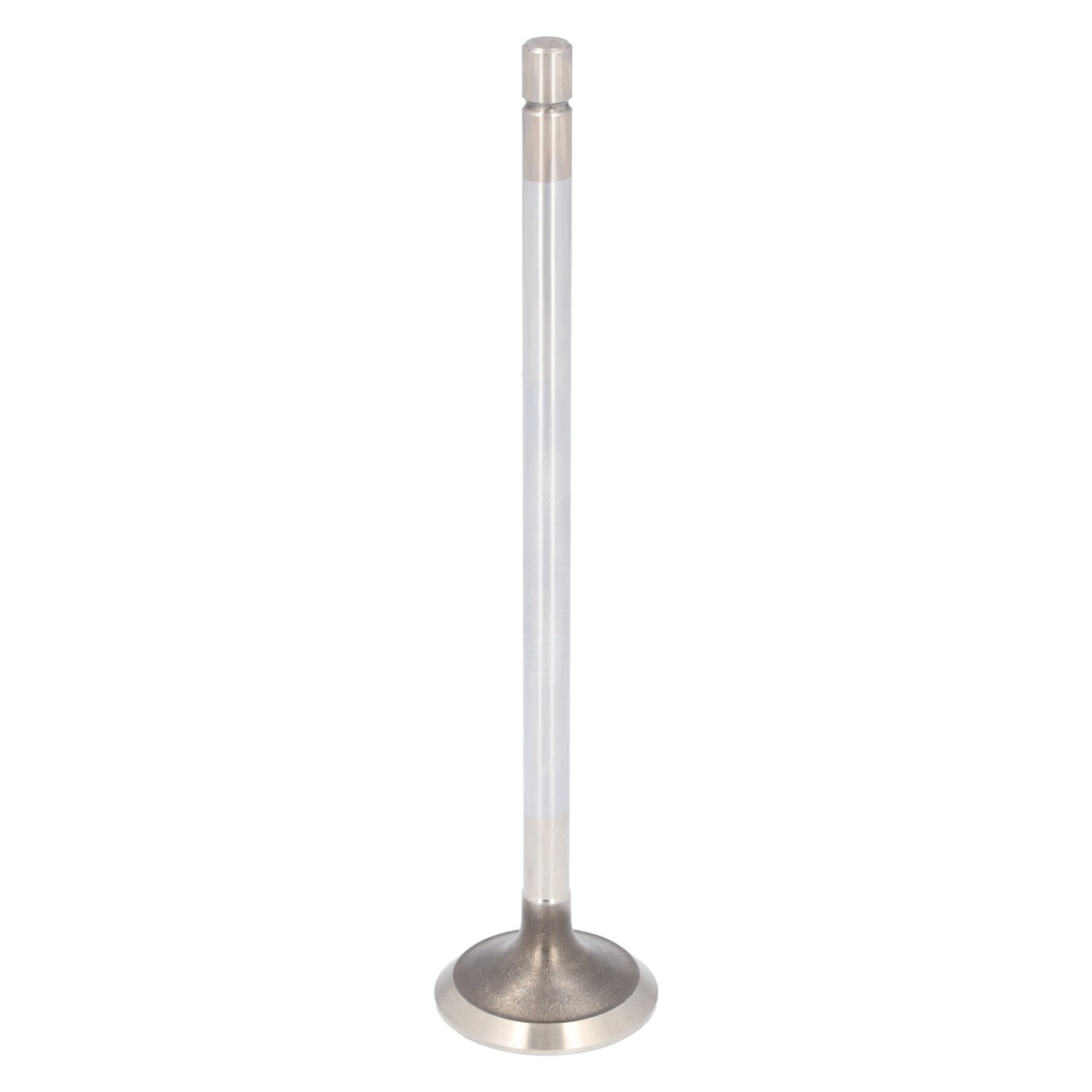 FEBI BILSTEIN Exhaust valve Article number: 185195 cheaply