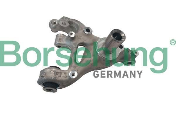 Borsehung Steering knuckle Article number: B12117 cheaply
