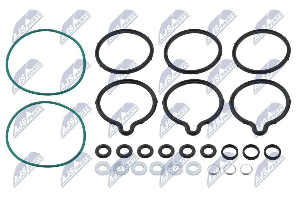 NTY BWP-VW-011 Repair Kit, common rail system SCÉNIC 1.9 dCi 102 PS Diesel 2003