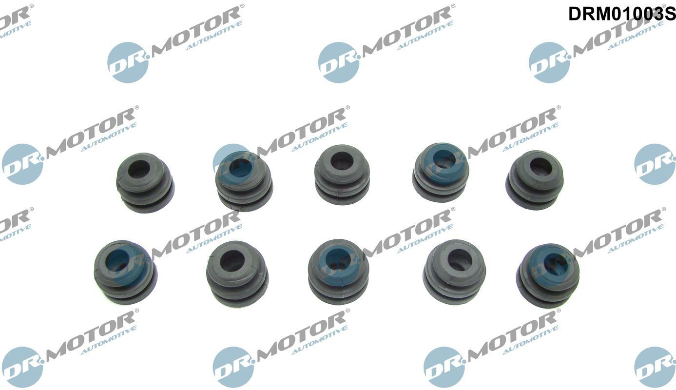 DR.MOTOR AUTOMOTIVE Buffer, engine cover Article number: DRM01003S cheaply