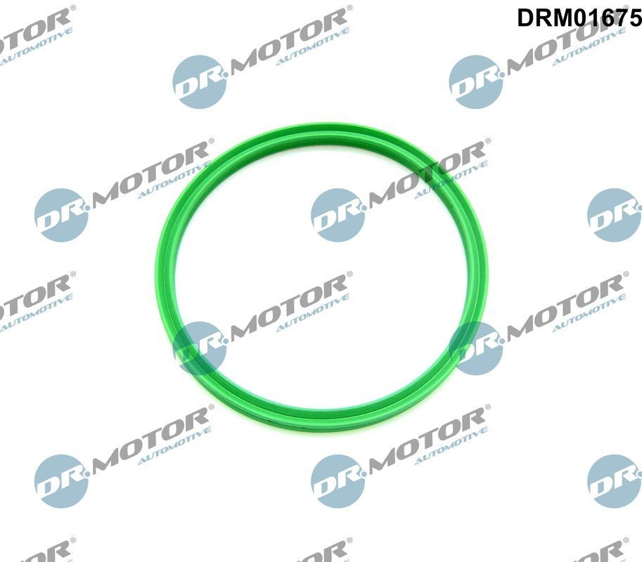 DR.MOTOR AUTOMOTIVE Seal, turbo air hose Article number: DRM01675 cheaply