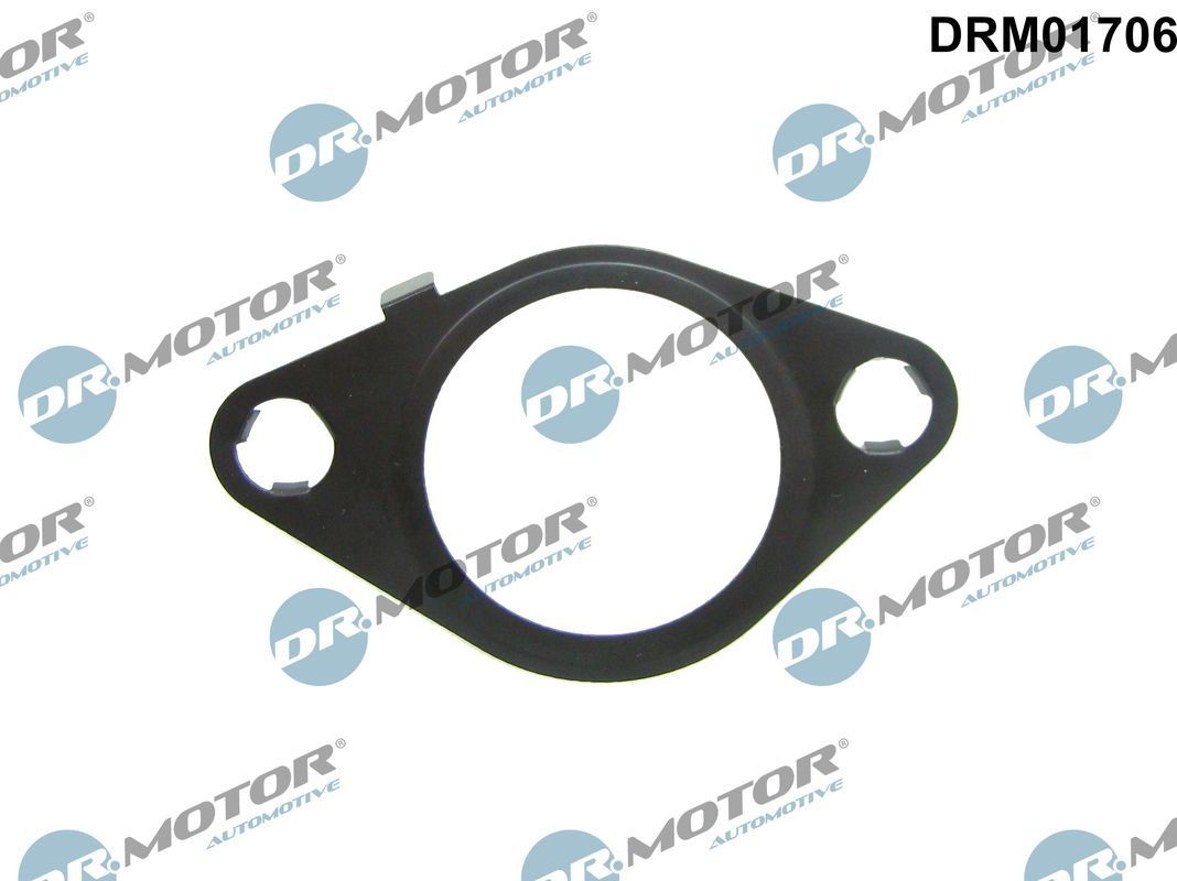DR.MOTOR AUTOMOTIVE Tihend, EGR-klapp Artikli number: DRM01706 soodsalt