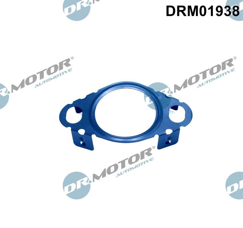 DR.MOTOR AUTOMOTIVE Gasket, EGR valve pipe Article number: DRM01938 cheaply