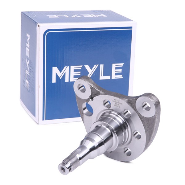 MEYLE Kingpin, axle beam Article number: 100 501 0012 cheaply