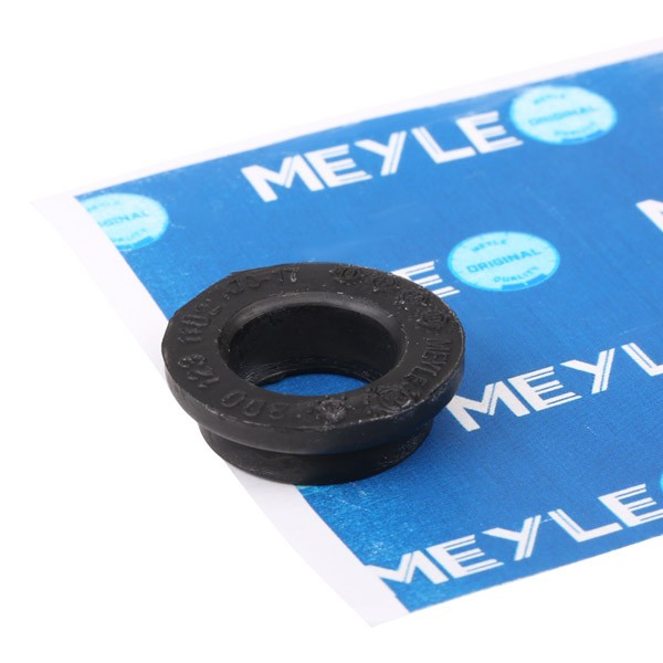 MEYLE Mounting, alternator Article number: 300 123 1102 cheaply