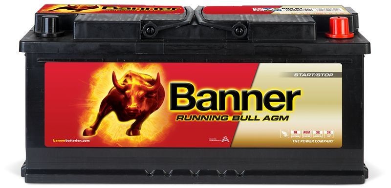 BANNER Battery Article number: 016605010101 cheaply