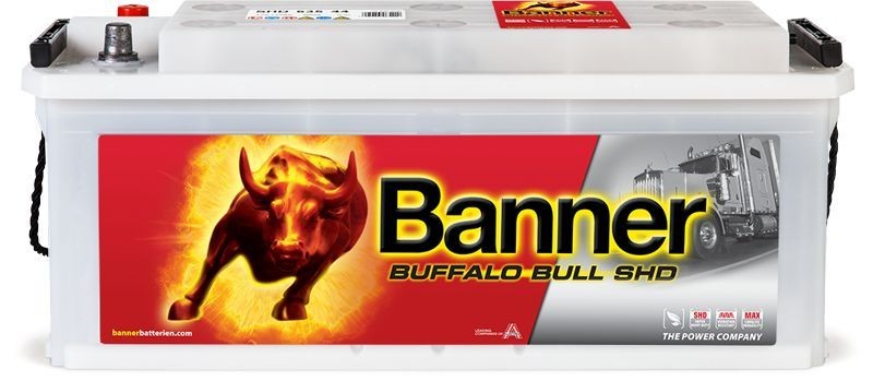 BANNER Battery Article number: 018635440101 cheaply