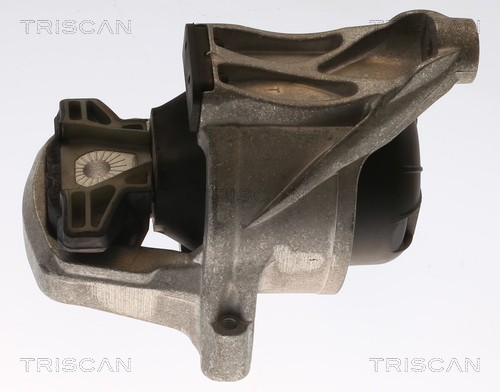 TRISCAN Engine mount Article number: 8505 29168 cheaply