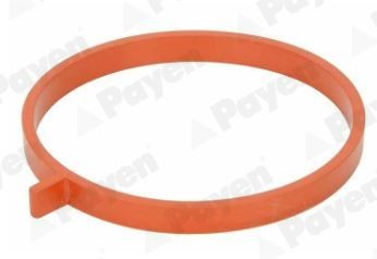 PAYEN Inlet manifold gasket Article number: JD6186 cheaply