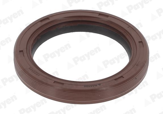 PAYEN Crankshaft seal Article number: NA5500 cheaply