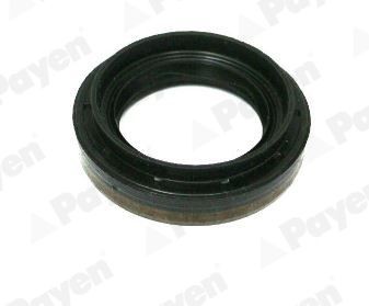 PAYEN Shaft Seal, differential Article number: NA5502 cheaply