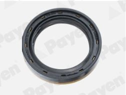 PAYEN Shaft Seal, differential Article number: NA5503 cheaply