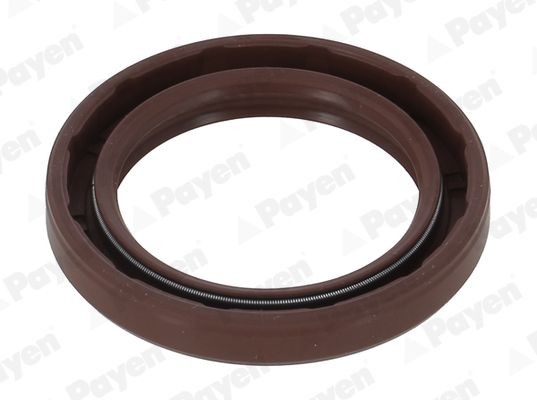 PAYEN Crankshaft seal Article number: NA5506 cheaply