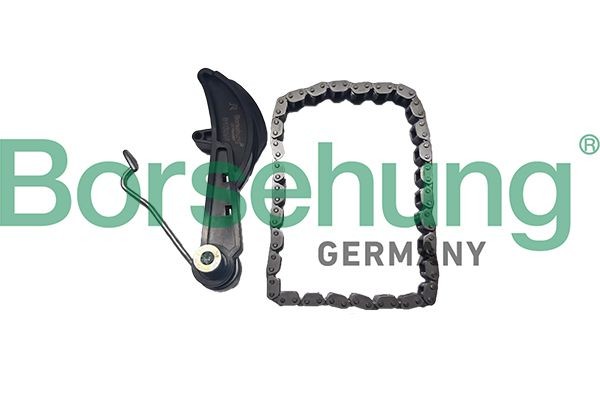Borsehung Timing chain kit Article number: B10251 cheaply
