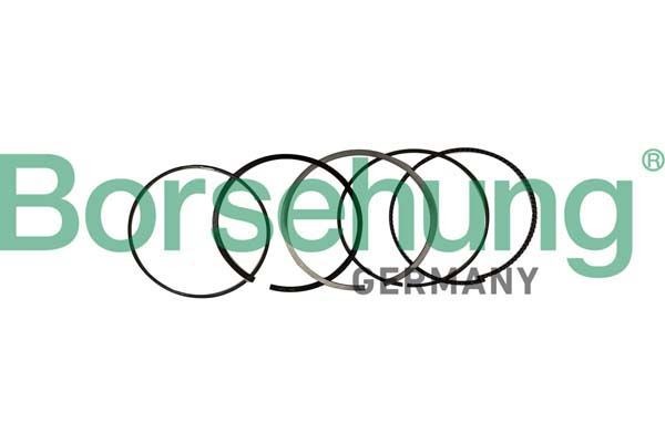 Borsehung Piston Ring Kit Article number: B10369 cheaply