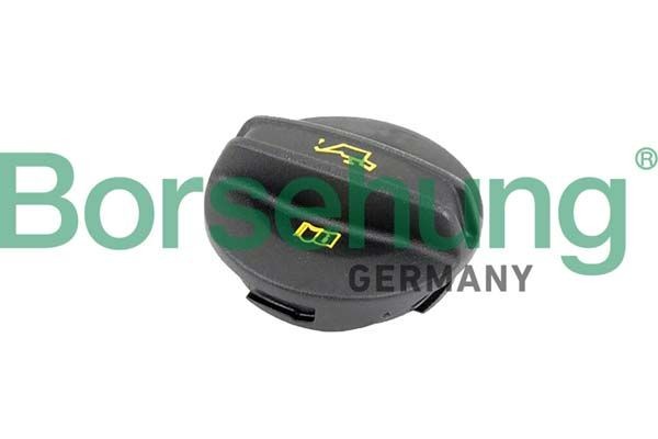 Borsehung B10670 Dangtelis, alyvos pildymo anga SUPERB 2.0 TDI 4x4 190 AG dyzelinas