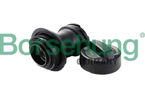 Borsehung B12389 Laba, kütusekraan TIGUAN 1.4 TSI E100 Flex 150 HP Bensiin/etanool