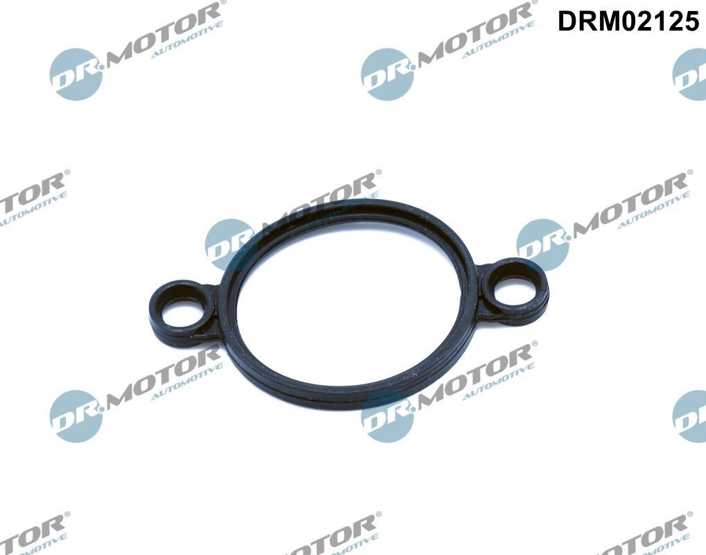 DR.MOTOR AUTOMOTIVE Seal, adjusting element (eccentric shaft) Article number: DRM02125 cheaply