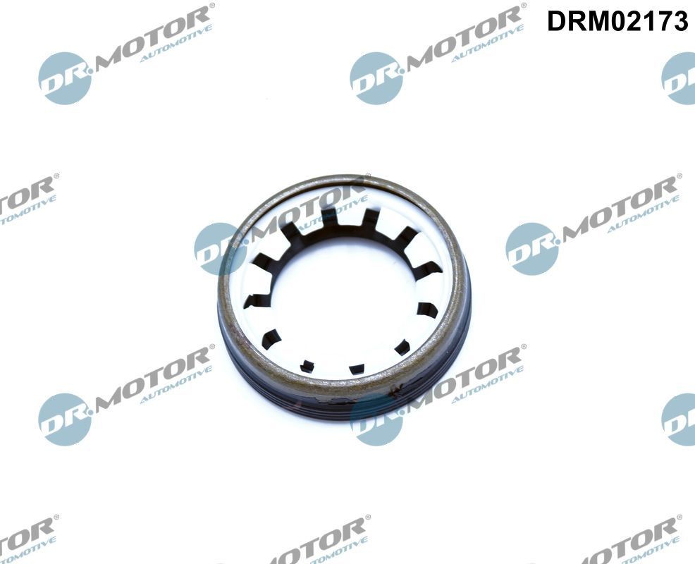 DR.MOTOR AUTOMOTIVE Akseltetningsring, differensial artikkelnummer: DRM02173 billig