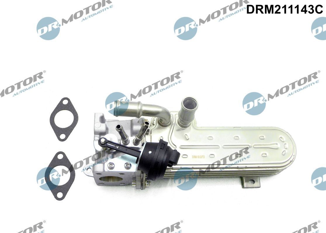 DR.MOTOR AUTOMOTIVE DRM211143C EGR-jahuti PASSAT 2.0 TDI 120 HP Diisel 2011