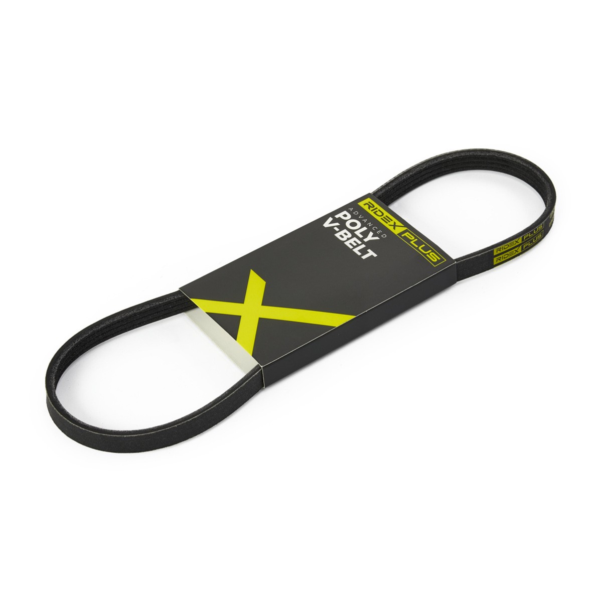 RIDEX PLUS Cinghia servizi Numero articolo: 305P0008P poco costoso