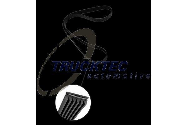 TRUCKTEC AUTOMOTIVE Serpentine belt Article number: 02.19.443 cheaply