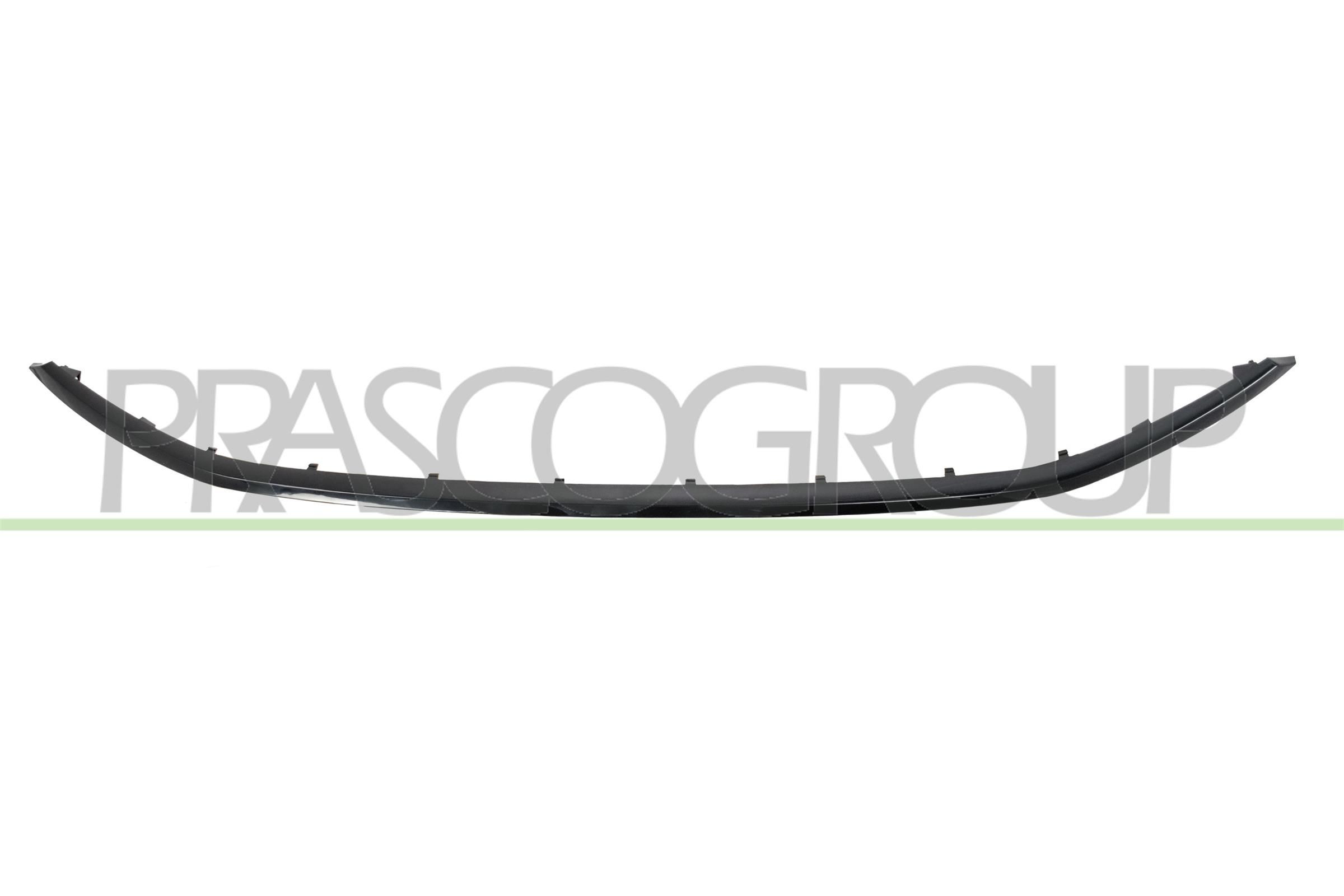 PRASCO FT4502206 Pynte- / beskyttelsesliste, kølergitter TIPO 1.4 (356SXA1B) 95 HK Benzin