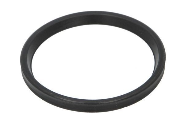 THERMOTEC Seal, turbo air hose Article number: DCR278TT cheaply