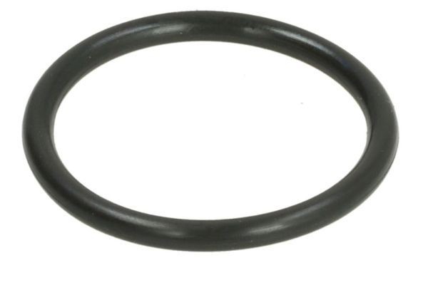 THERMOTEC Seal Ring, coolant tube Article number: DWC154TT cheaply
