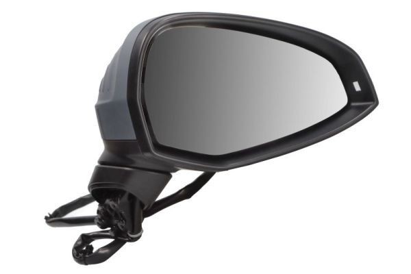BLIC Specchietto retrovisore esterno Numero articolo: 5402-25-0054311P poco costoso