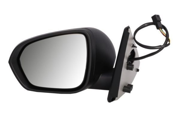 BLIC Wing mirror Article number: 5402-67-2146314P cheaply