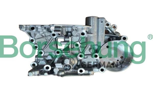 Borsehung B10925 Remondikomplekt, mehhatroonika (automaatkäigukast) FABIA 1.4 TSI RS 180 HP Bensiin 2014
