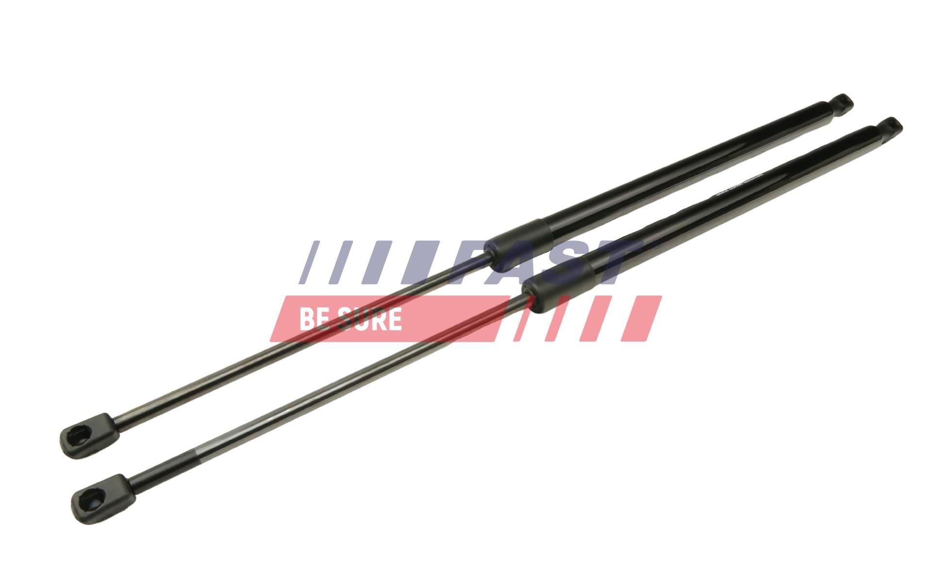 FAST Tailgate strut Article number: FT94810K cheaply
