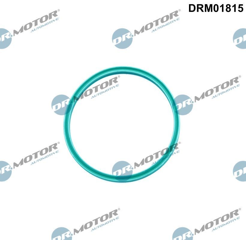 DR.MOTOR AUTOMOTIVE Seal, turbo air hose Article number: DRM01815 cheaply