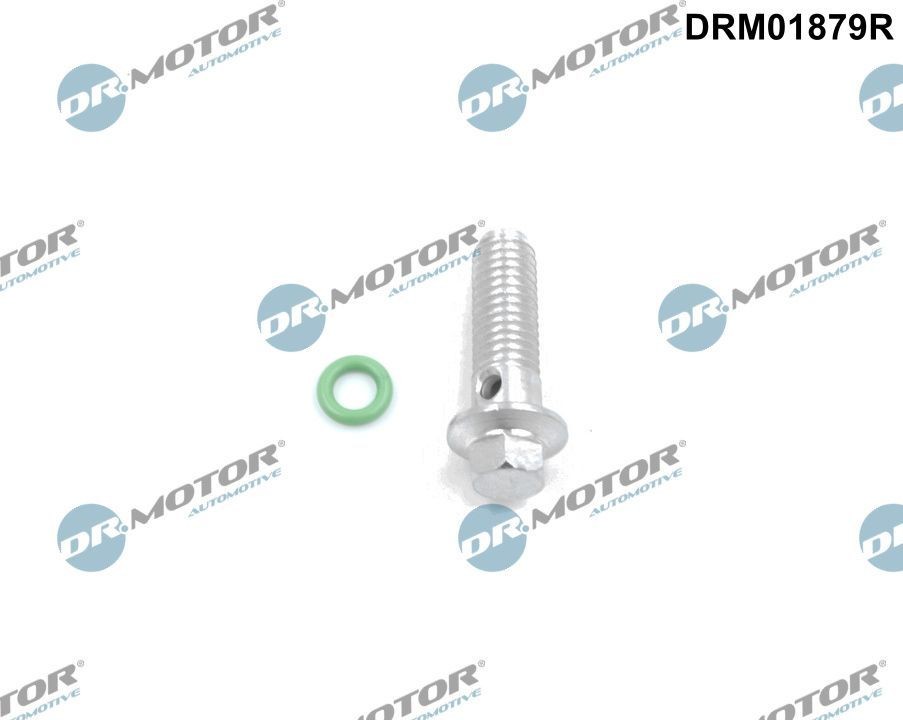 DR.MOTOR AUTOMOTIVE Remondikomplekt, õlipump Artikli number: DRM01879R soodsalt