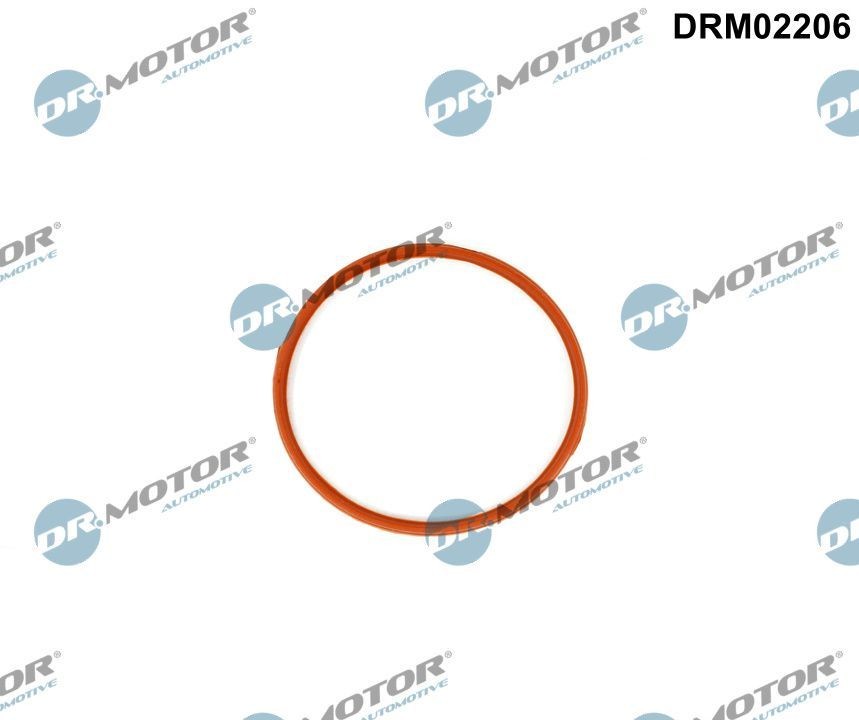 DR.MOTOR AUTOMOTIVE Tarpiklis, įsiurbimo kolektorius prekės numeris: DRM02206 nebrangu