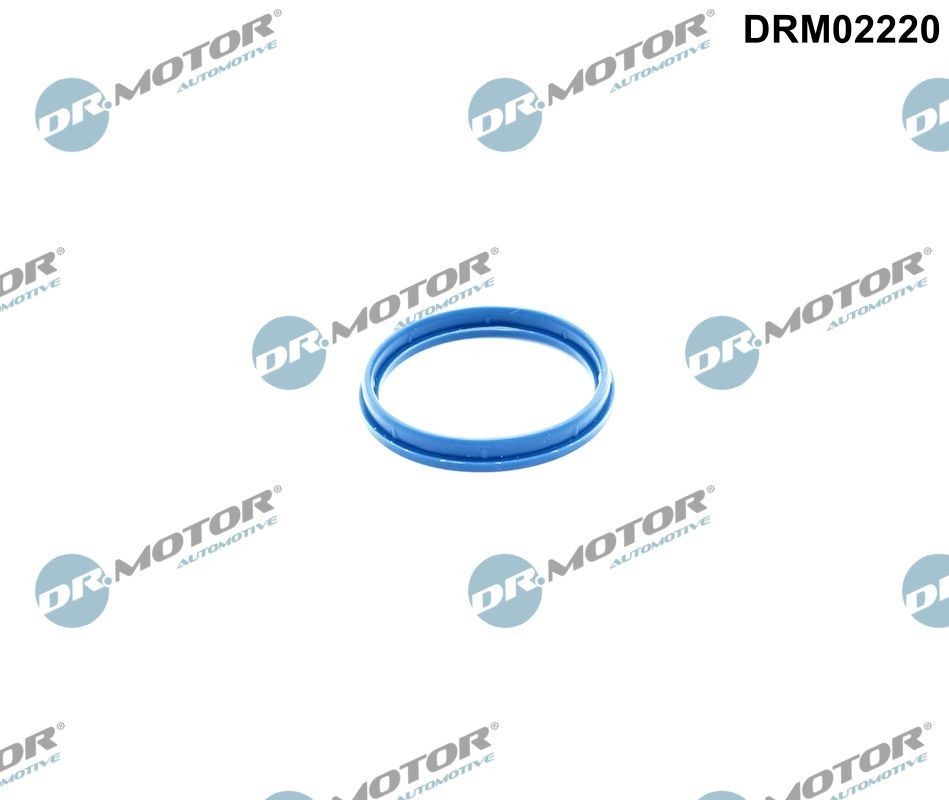 DR.MOTOR AUTOMOTIVE Tihend, sisselaskekollektori korpus Artikli number: DRM02220 soodsalt
