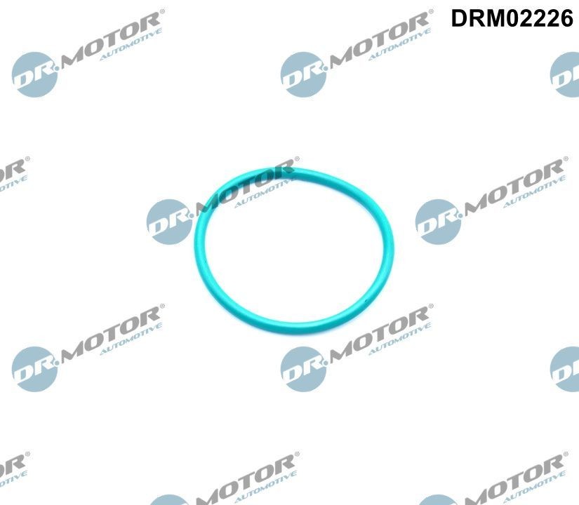 DR.MOTOR AUTOMOTIVE Seal, EGR valve Article number: DRM02226 cheaply