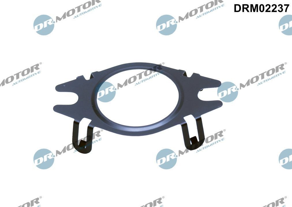 DR.MOTOR AUTOMOTIVE Gasket, EGR valve pipe Article number: DRM02237 cheaply