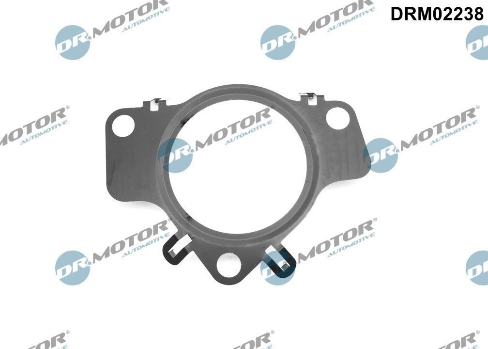 DR.MOTOR AUTOMOTIVE Turbo gasket Article number: DRM02238 cheaply