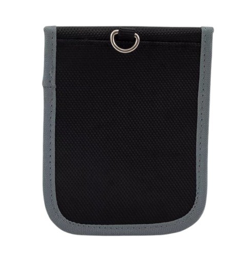P1 Autocare SVBI/P1/BLOCKER Keyless Case SCÉNIC 1.9 dCi 102 PS Diesel 2003